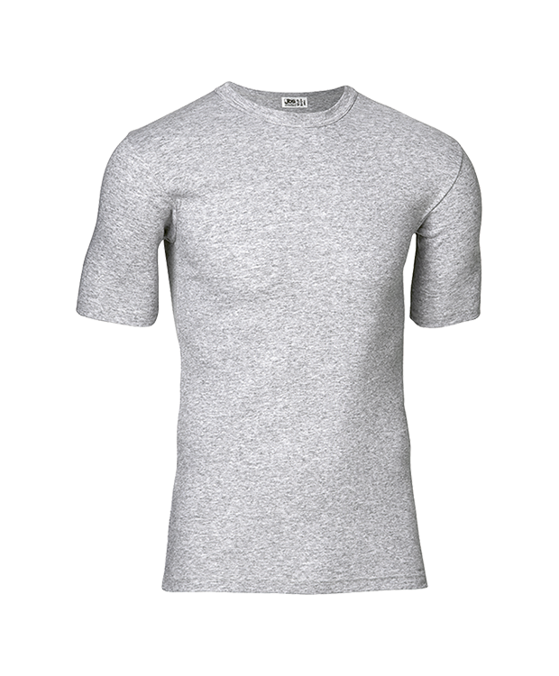 JBS bomulds t-shirt i meleret grå til herre